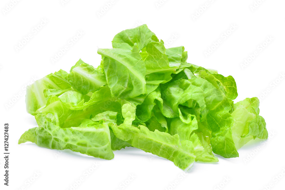 sliced fresh chinese cabbage isolated on a white background sliced fresh chinese cabbage isolated on a white background