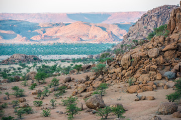 Papier peint photo Pantone 2025 Mocha Mousse Rocky landscape of Namibia with huge boulders and green trees  © serg269