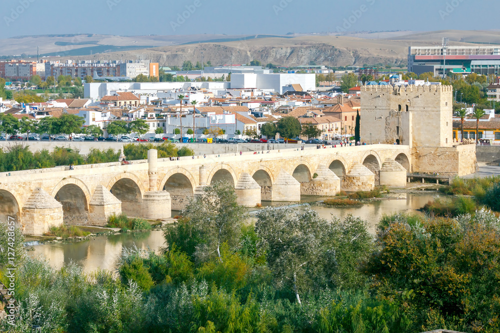Fototapeta premium Cordoba. Roman bridge.