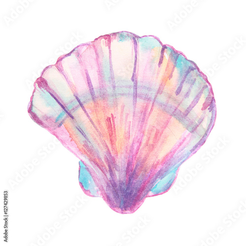 Photo Hand drawn watercolor shell isolated on white background.For you