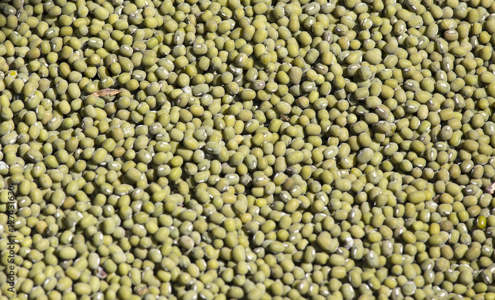 fresh Green beans background fresh Green beans background