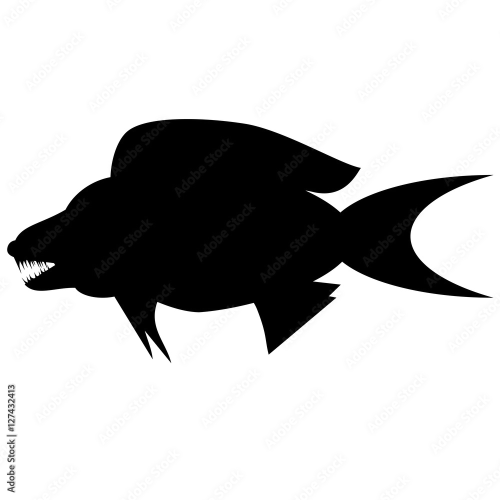 Silhouette of piranha. cichlid in the aquarium. Black and white illustration Silhouette of piranha. cichlid in the aquarium. Black and white illustration