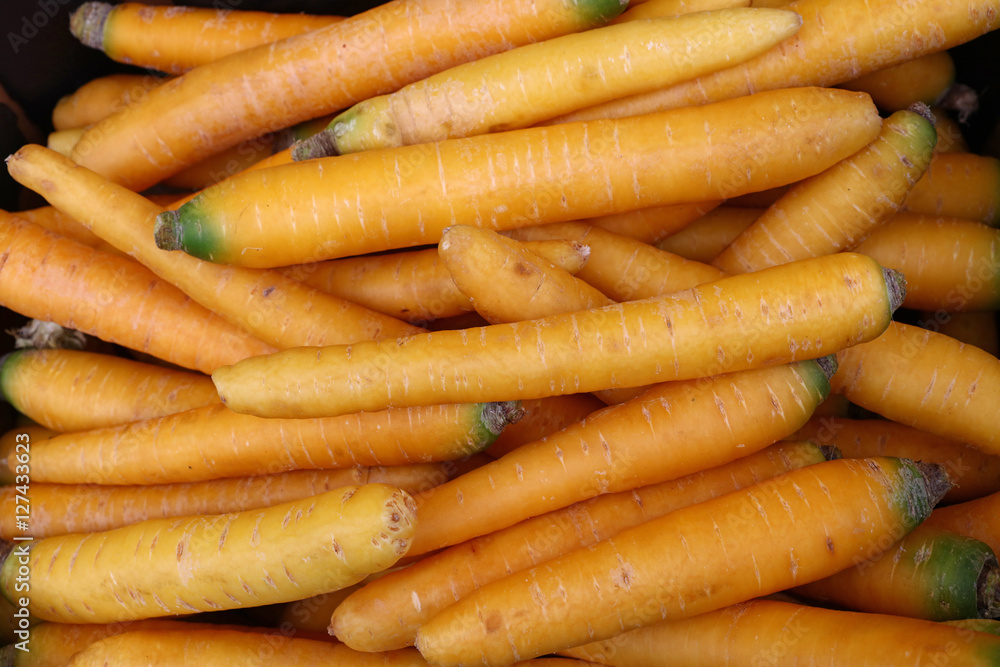 Bunches of fresh new spring yellow carrots Bunches of fresh new spring yellow carrots