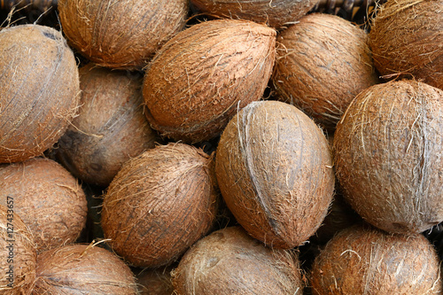 Small whole brown coconuts on retail market