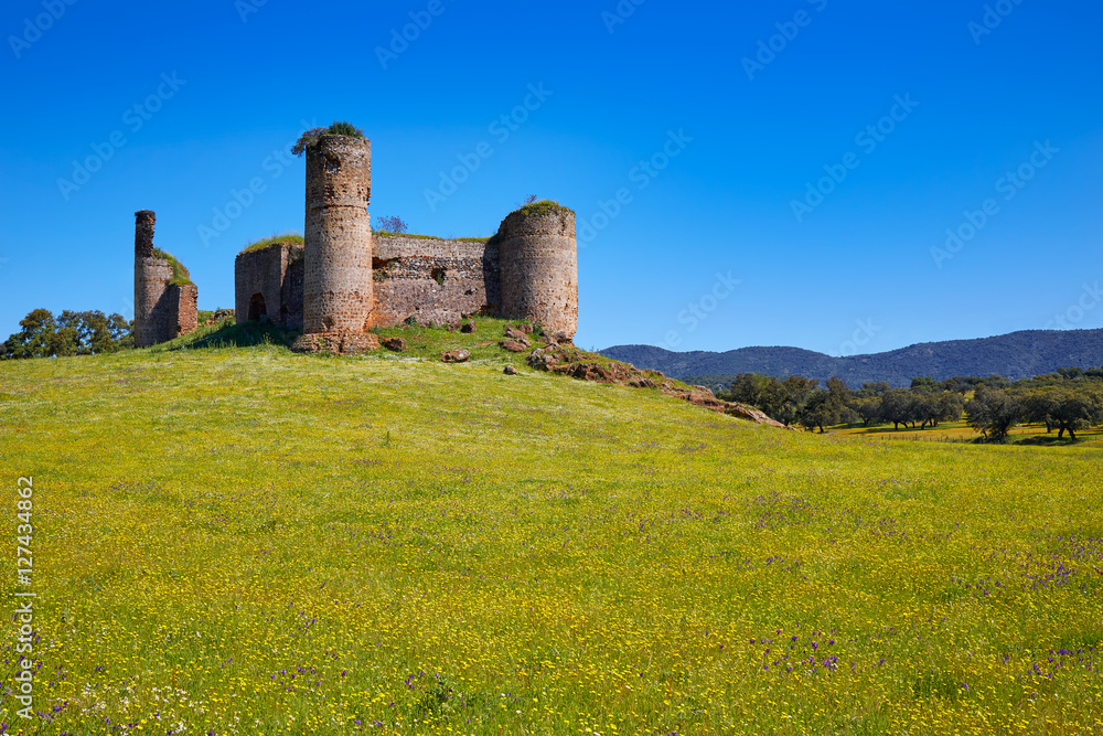 Castillo de las Torres castle by via de la Plata