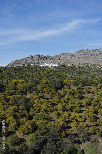 hermosos paisajes naturales de España, el valle del Genal en la provincia de Málaga, Andalucía