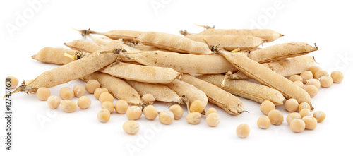 Cuadro en lienzo pods of pea