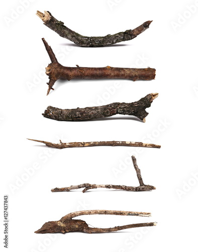Twigs, set dry rotten branches with lichen isolated on white background