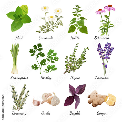 Spices And Meadow Flowers Herbal Set
