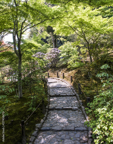 Pathway, Tenreyuji Temple Gardens, Arashiyama, Kyoto, Japan, East Asia 