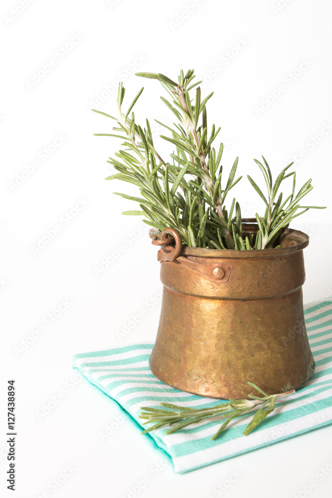 Fresh rosemary in antique metallic pot on blue white striped towel, on white background. Fresh rosemary in antique metallic pot on blue white striped towel, on white background.