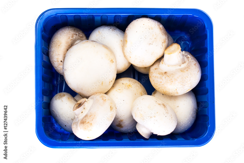 Fresh mushrooms in the packaging box Fresh mushrooms in the packaging box