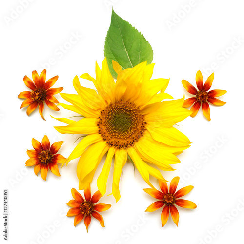 Fototapeta Naklejka Na Ścianę i Meble -  A bouquet of flowers sunflower and daisy