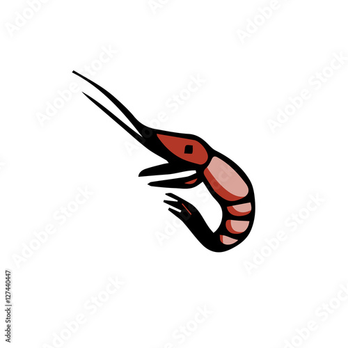 shrimp vector scetch. logo. draw