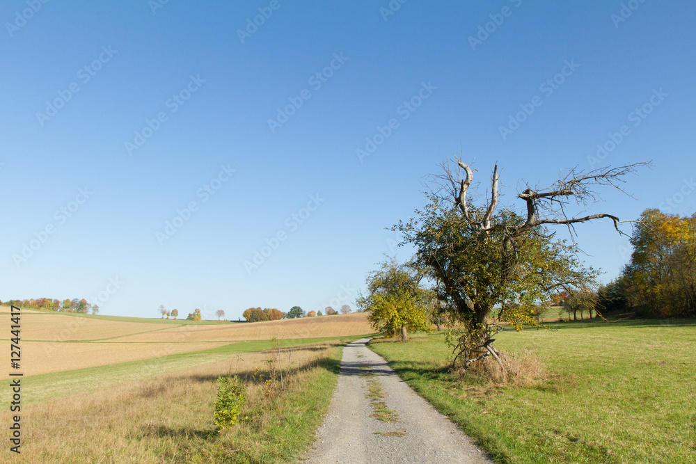 Herbst