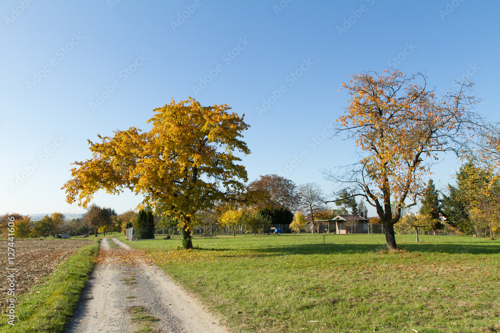 Obraz premium Herbst