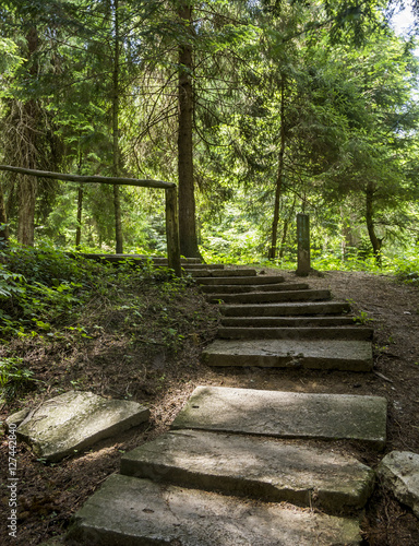 stairway in forest