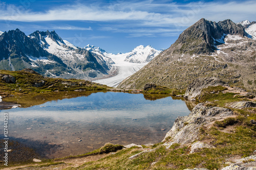 Aletsch glacier behind a small lake near Eggishorn