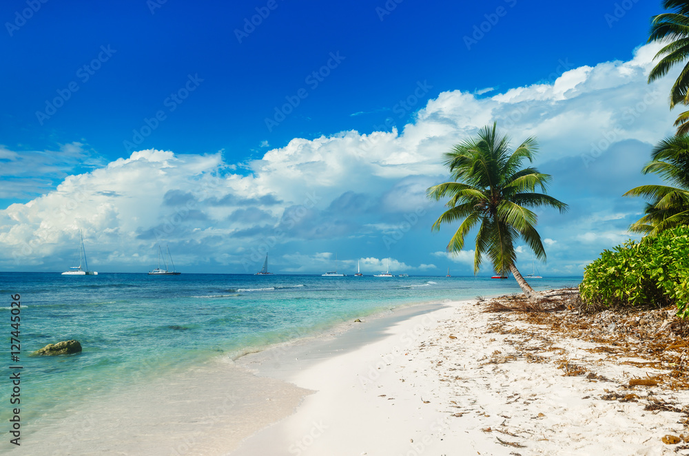 Wild untouched beach on Saona Island