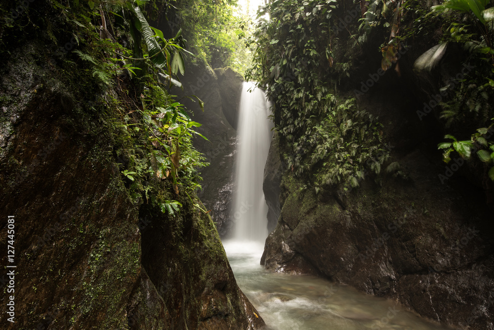 Fototapeta premium Waterfalls of the tropical rainforest in Mindo, Ecuador