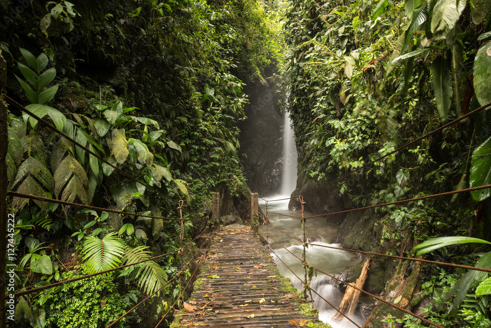 Fototapeta premium Waterfalls of the tropical rainforest in Mindo, Ecuador
