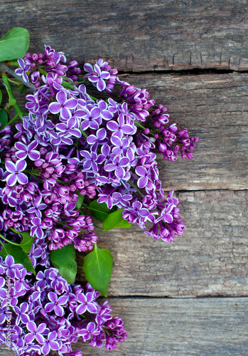 lilac on wooden surface