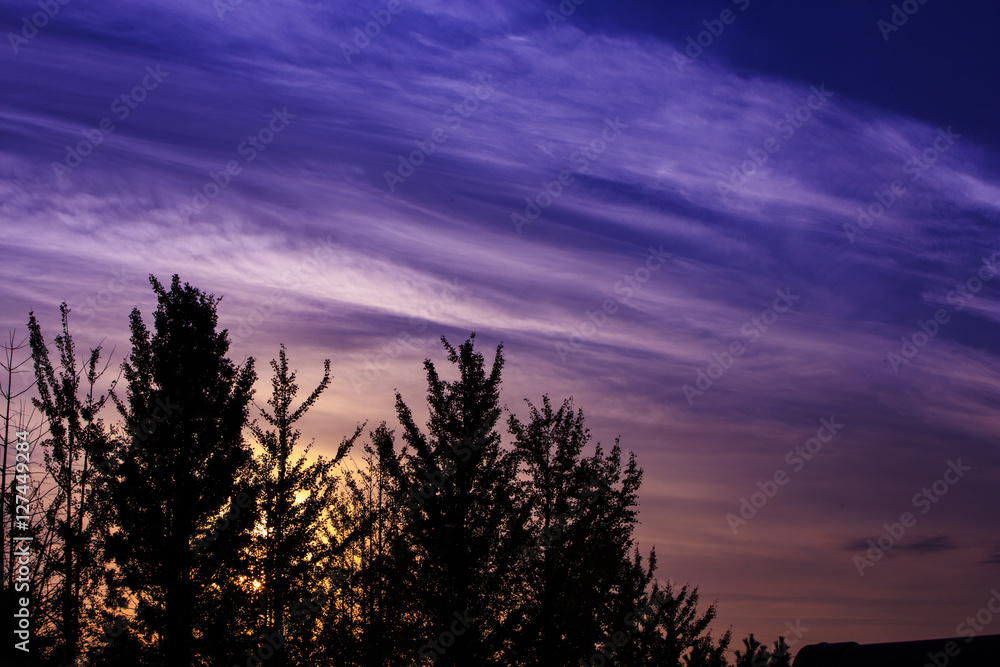 夕日 空 夕日 空
