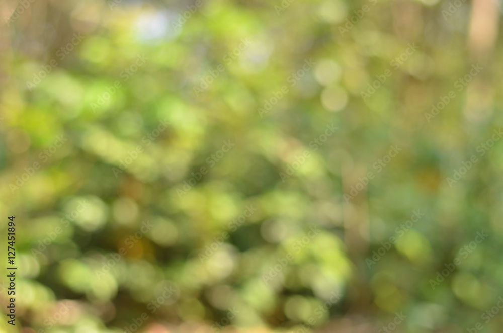 Natural Bokeh,blurred bokeh.
Natural Bokeh,blurred bokeh.