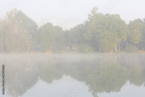 Woods and lakes in the fog.