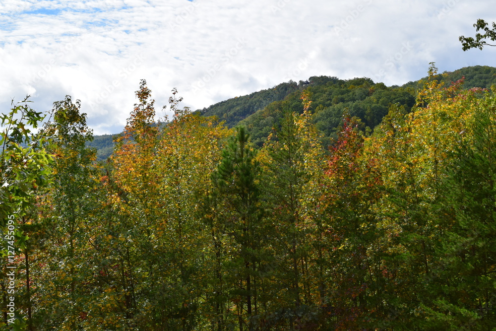 Beautiful Fall Mountain Scene
