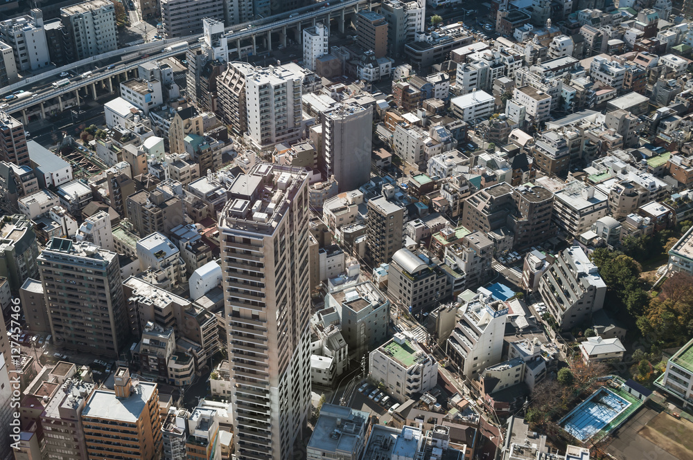 Fototapeta premium Tokyo metropolis cityscape view from Tokyo tower in Japan