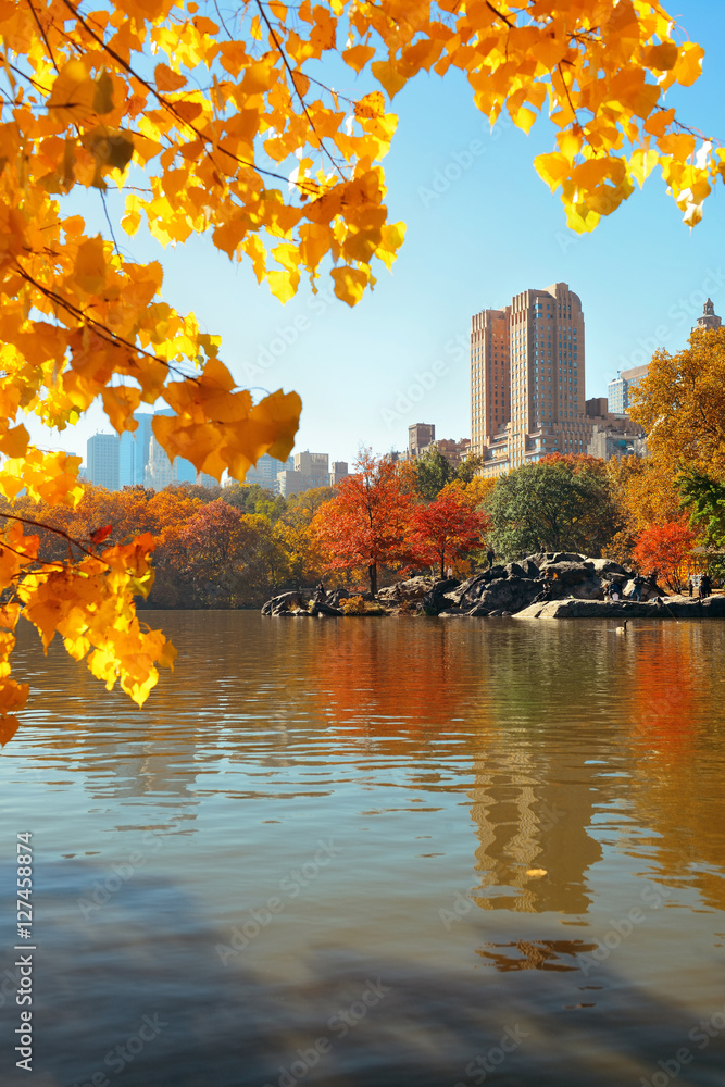 Obraz premium Central Park Autumn