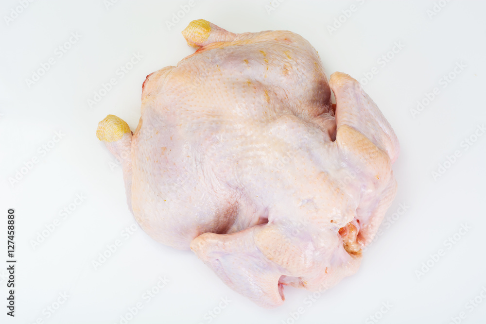 The Split Carcass of Raw Chicken. Isolated on White The Split Carcass of Raw Chicken. Isolated on White