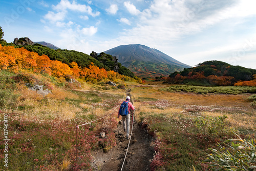 Woman hiking among autumn colors on hiking trail toward Asahidake in Daisetsuzan, Hokkaido, Japan.
