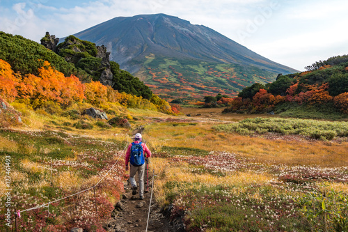 Woman walking among autumn colors on hiking trail toward Asahidake in Daisetsuzan, Hokkaido, Japan.
