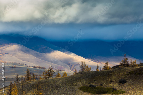 Altay. Mountains. Golden autumn. Blue sky.