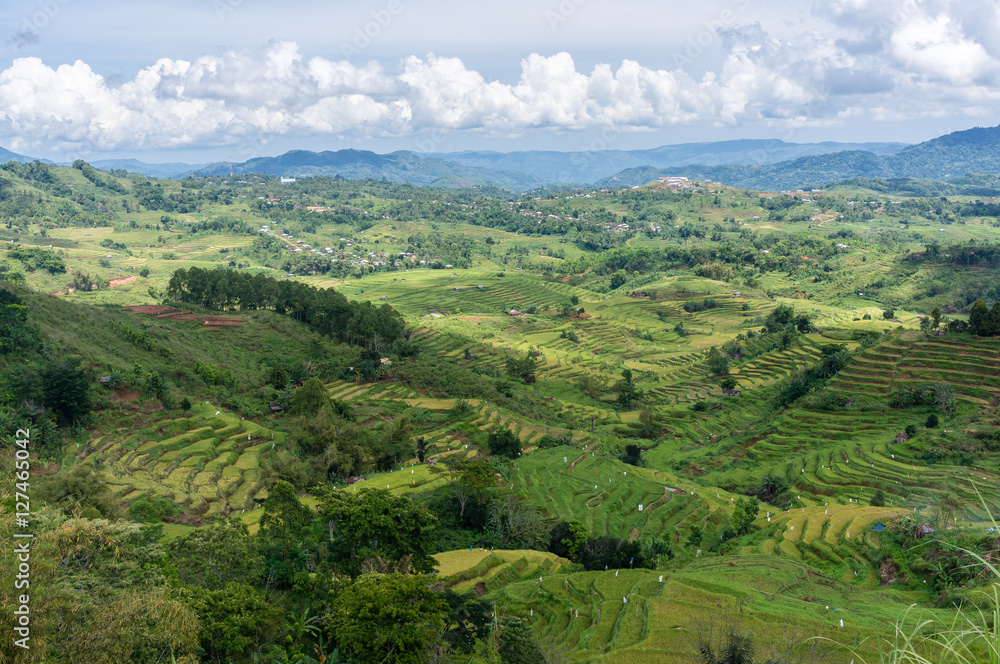 Rizières près de Ruteng, Flores, Nusa Tenggara, Indonésie Rizières près de Ruteng, Flores, Nusa Tenggara, Indonésie