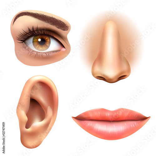 Eye Ear Lips Nose Icons Set