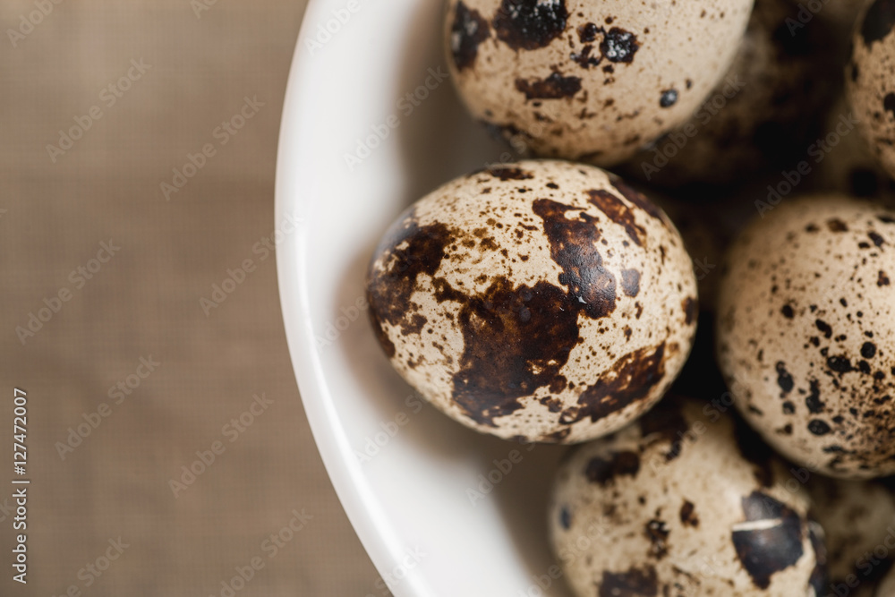 Obraz premium Quail dappled eggs in white ceramic bowl
