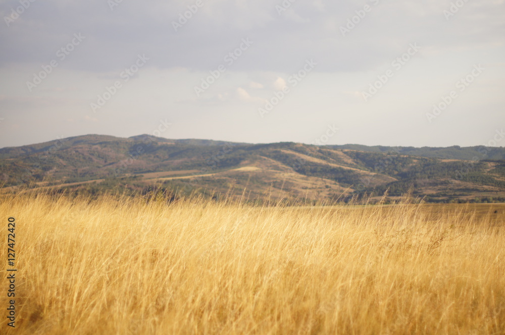 Autumn mountain view Autumn mountain view