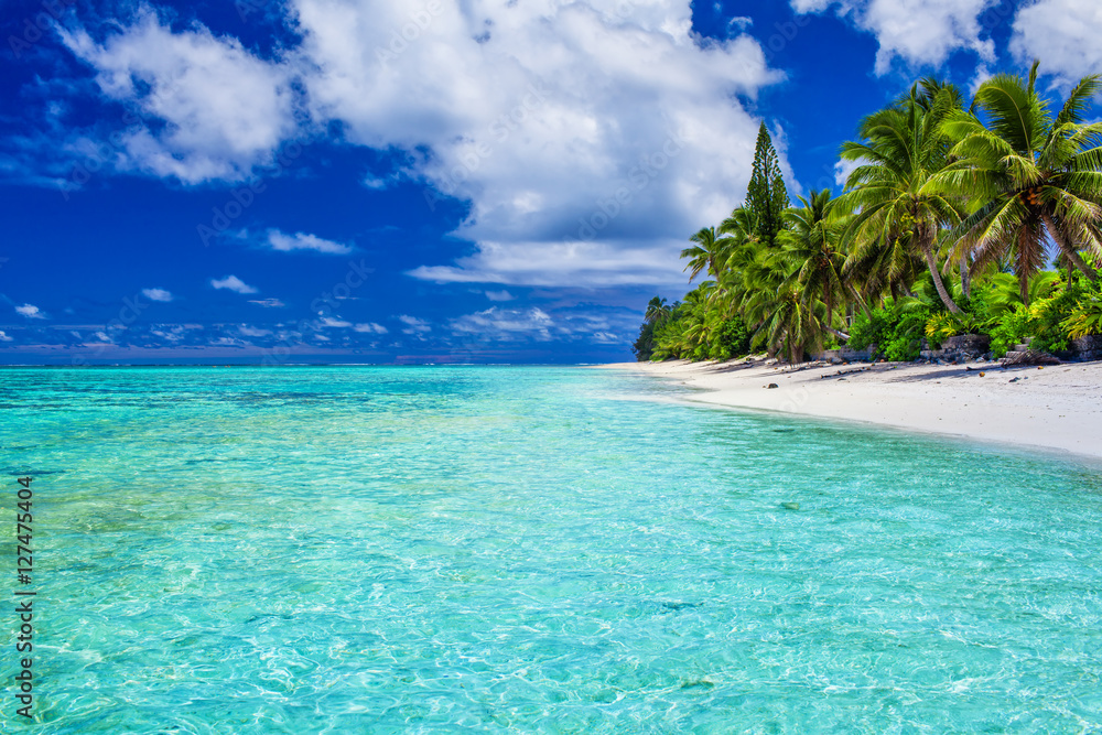 Amazing beach with white sand and palm trees, Rarotonga, Cook Is