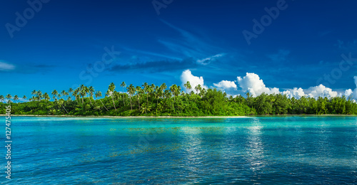 Tropical Rarotonga with palm trees and sandy beach, Cook Islands photo