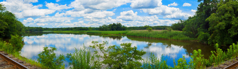 Lake in city park with trees. Beautiful summer landscape
