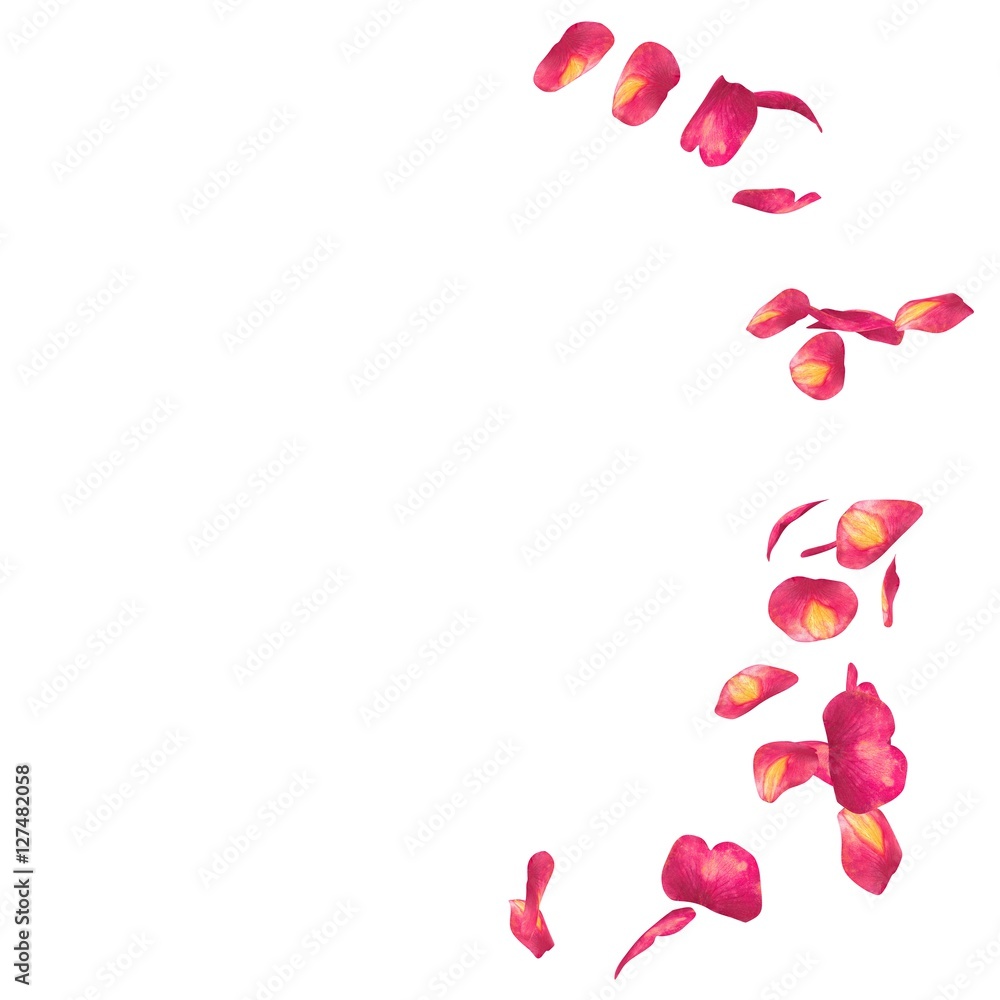 Red rose petals scattered on the floor in a semi-circle Red rose petals scattered on the floor in a semi-circle