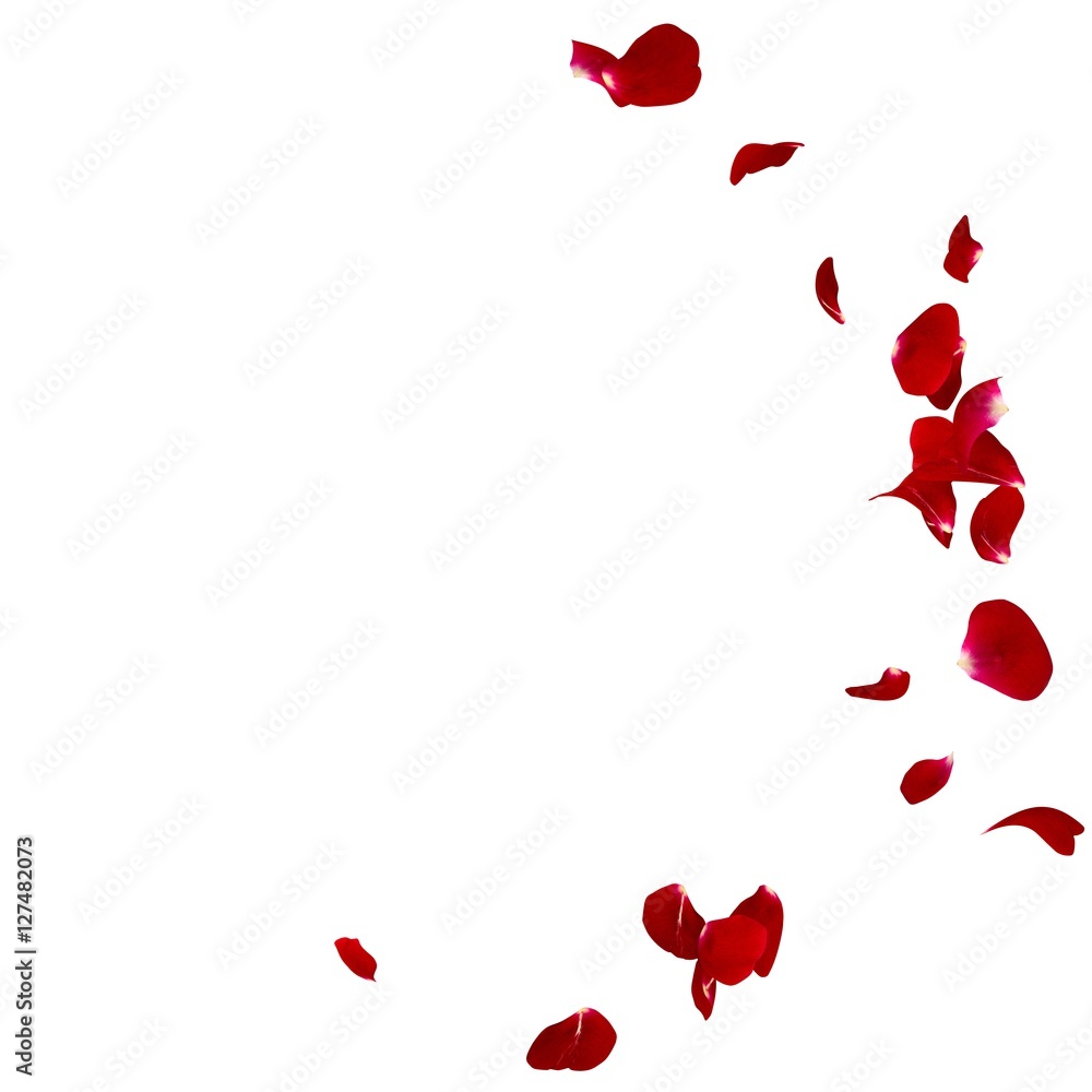 Red rose petals scattered on the floor in a semi-circle