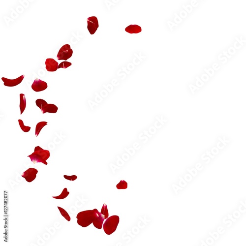 Red rose petals scattered on the floor in a semi-circle