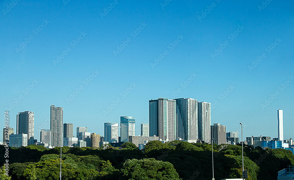 Tokyo City skyline Japan Asia 