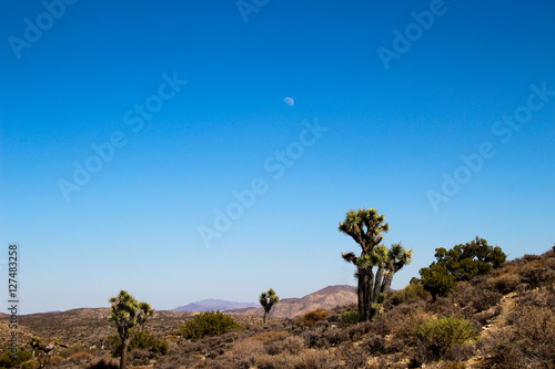 Moon over desert © Felipe