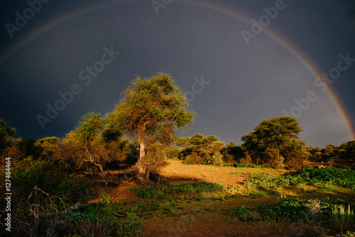 Regenbogen über dem Buschland, Mount Etjo, Namibia photo