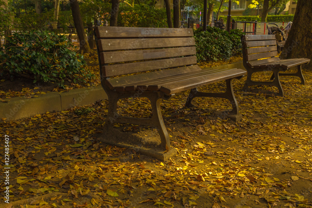 The bench and fallen leaves.The shooting location is Arisugawa Park in Minami Azabu, Minato-ku, Tokyo, Japan. The bench and fallen leaves.The shooting location is Arisugawa Park in Minami Azabu, Minato-ku, Tokyo, Japan.
